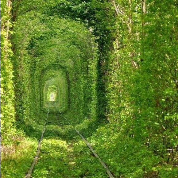 Meet your Posher, Elena - Picture 1 of 3